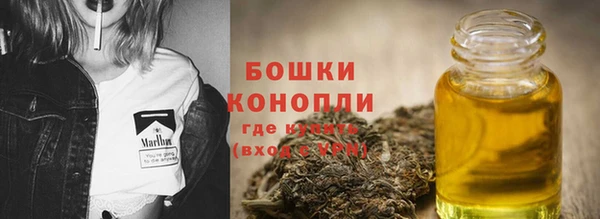 прущие грибы Абдулино