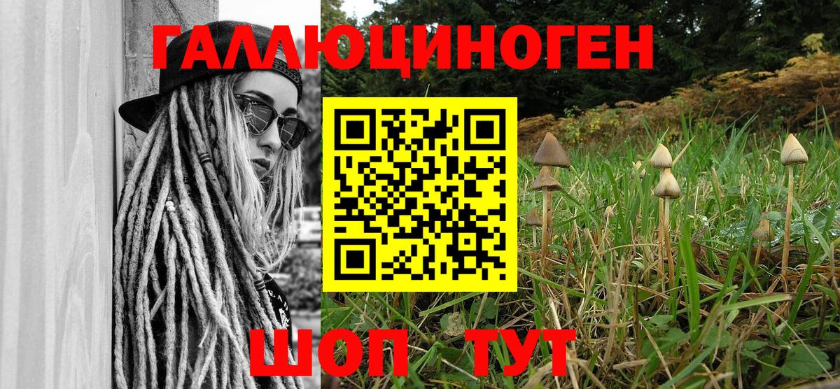 Псилоцибиновые грибы ЛСД Алейск
