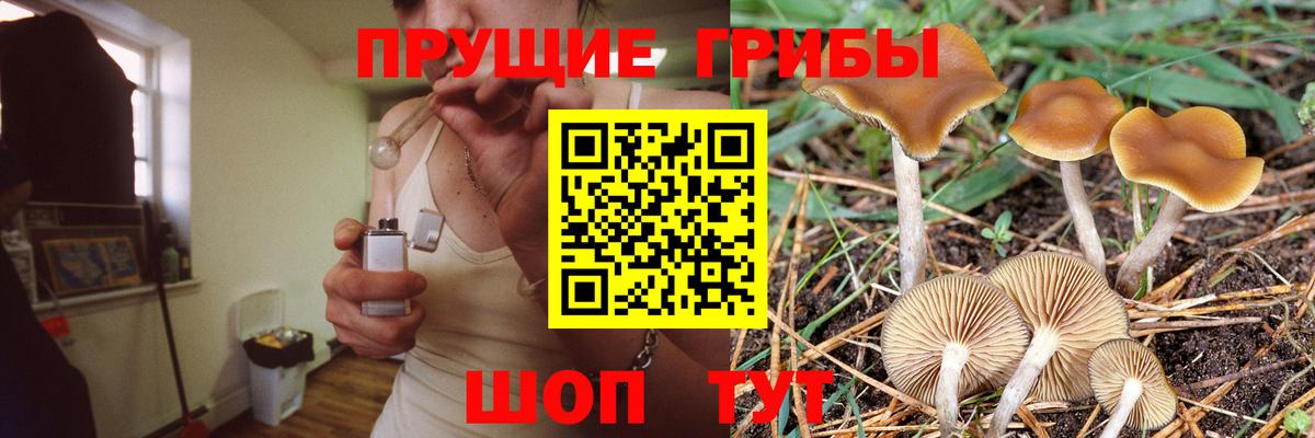 Алейск  Псилоцибиновые грибы Cubensis  Галлюциногенные грибы мухоморы  Вход с VPN 