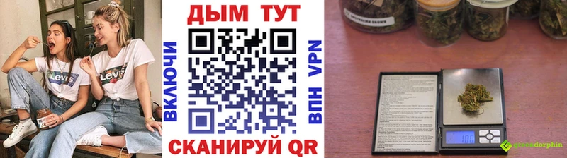 Бошки Шишки план Алейск